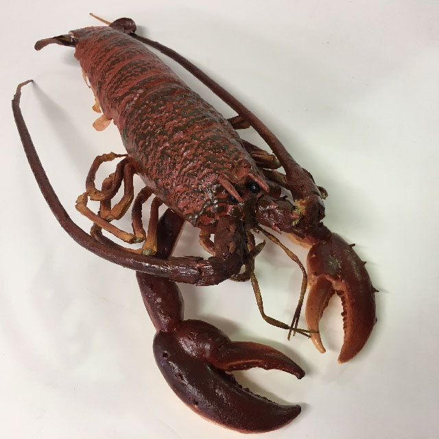 SEAFOOD, Artificial - Lobster 40cm (Dark Red)